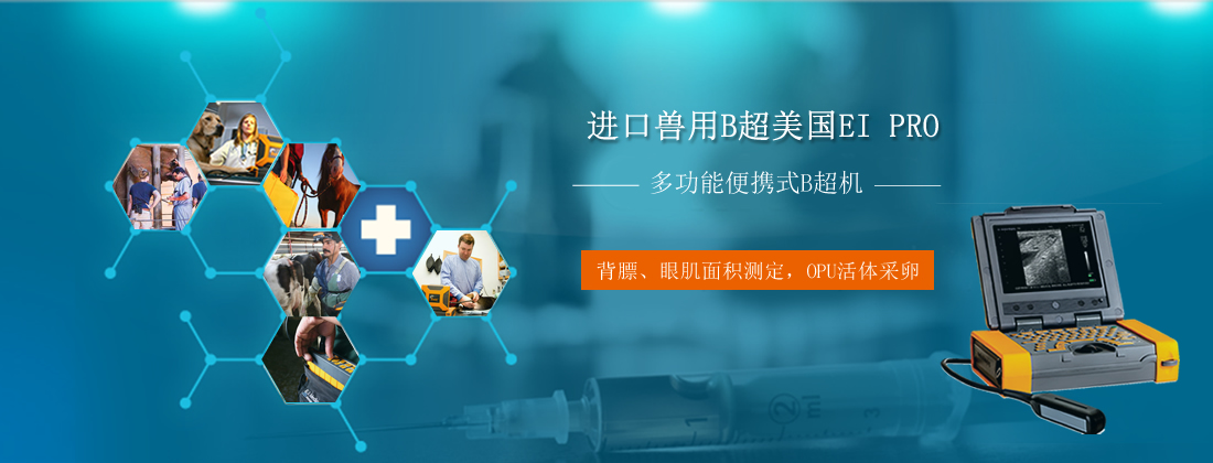 便携式兽用B超