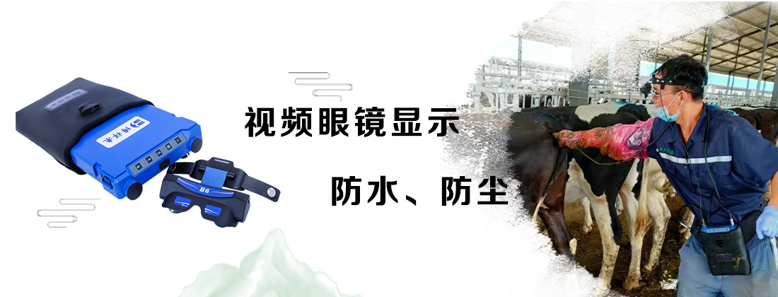 高清兽用B超机