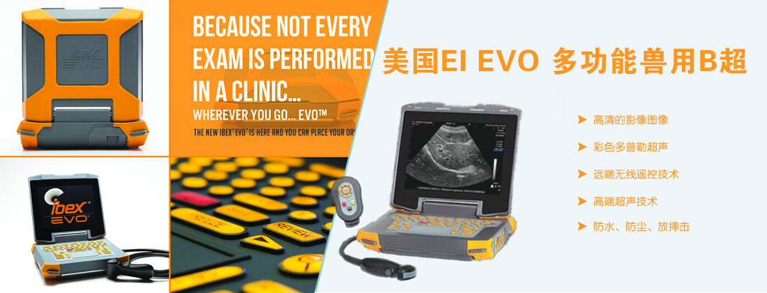 进口牛用B超
