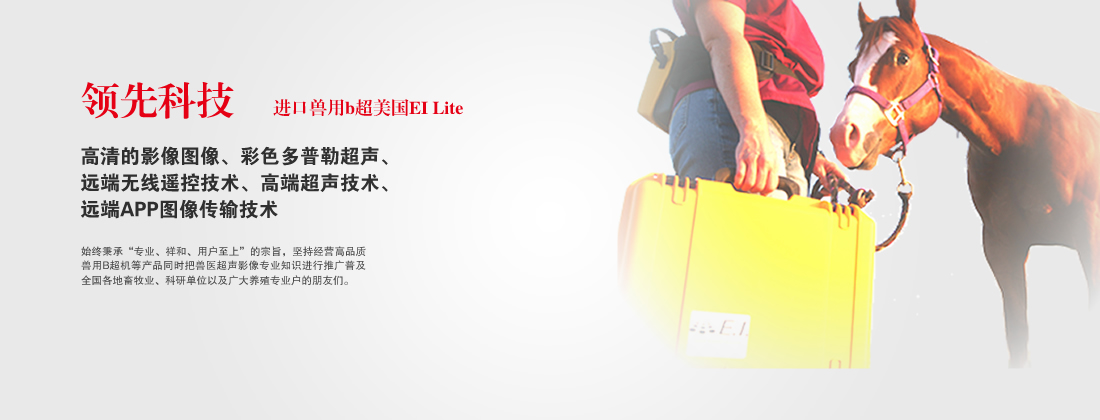 进口牛用B超