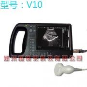 动物B超 V10