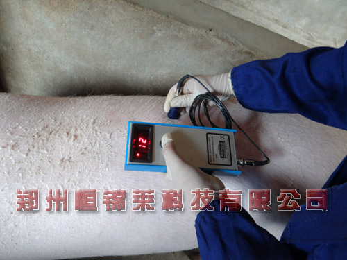 背膘仪检测背膘厚度