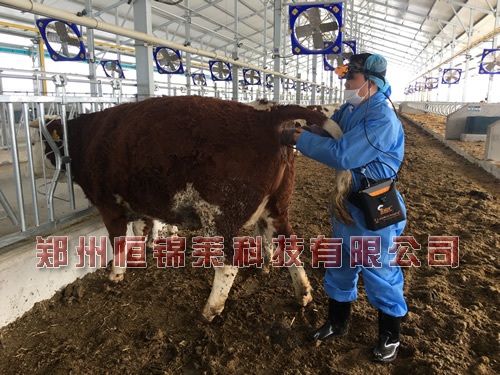高清进口牛用B超检测